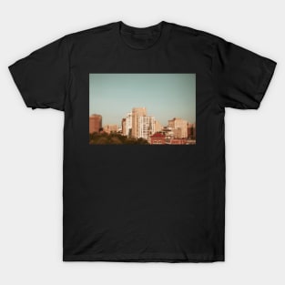 Springtime In Detroit T-Shirt